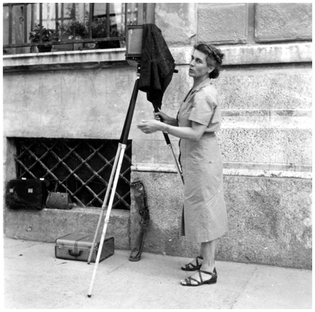 Hilde Bauer