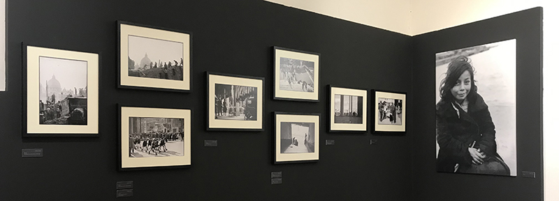 Room 2: Franz Schlechter photos