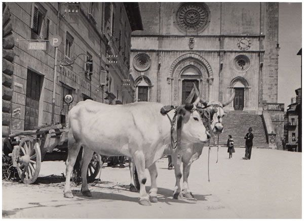 Hilde Lotz-Bauer photo from Italy in the 1930s Hilde Lotz-Bauer photo from Italy in the 1930s
