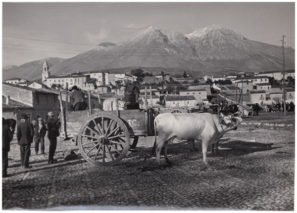 Hilde Lotz-Bauer photo from Italy in the 1930s Hilde Lotz-Bauer photo from Italy in the 1930s