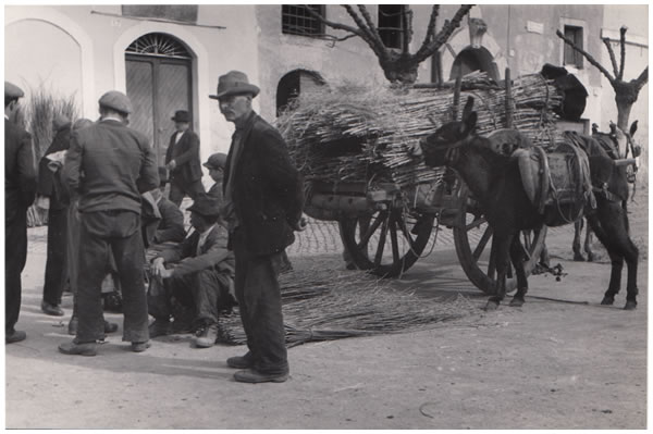 Hilde Lotz-Bauer photo from Lanuvio, Italy in the 1930s Hilde Lotz-Bauer photo from Lanuvio, Italy in the 1930s