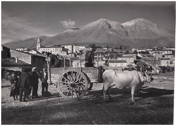 Hilde Lotz-Bauer photo from Italy in the 1930s Hilde Lotz-Bauer photo from Italy in the 1930s